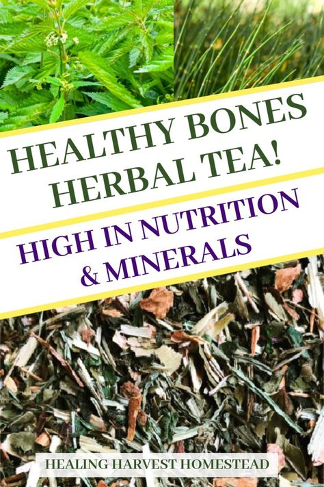 Growing pains? Weak bones? Osteoporosis? Brittle bones? Make this healthy herbal tea recipe blend to support the health of your bones and make them stronger. It’s easy and simple to make, and by drinking it daily, your bones, skin, fingernails, and hair will be healthy, strong, and beautiful. Especially for female and teenage bone ailments. #herbaltea #femaleailments #growingpains #teafor #healthy #bones #plantmedicine #healingharvesthomestead Weak Bones, Tea Blends Recipes, Bone Healing, Herbal Tonic, Best Herbal Tea, Herbal Teas Recipes, Growing Pains, Herbal Tinctures, Herbal Tea Blends