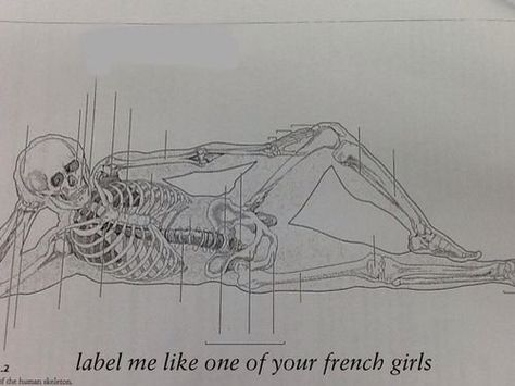 Anatomy professor win Anatomy Humor, The Meta Picture, Science Jokes, Medical Humor, Science Humor, French Girls, Nerd Alert, Nurse Humor, E Card