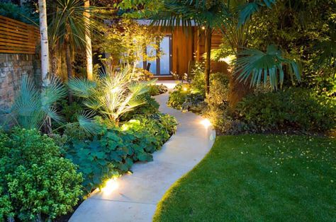 Small Tropical Garden Ideas Uk, Garden Dividers, Garden Ideas Uk, Small Tropical Gardens, Outdoor Lighting Design, Narrow Garden, Lady Lake, Tropical Garden Design, Asian Garden