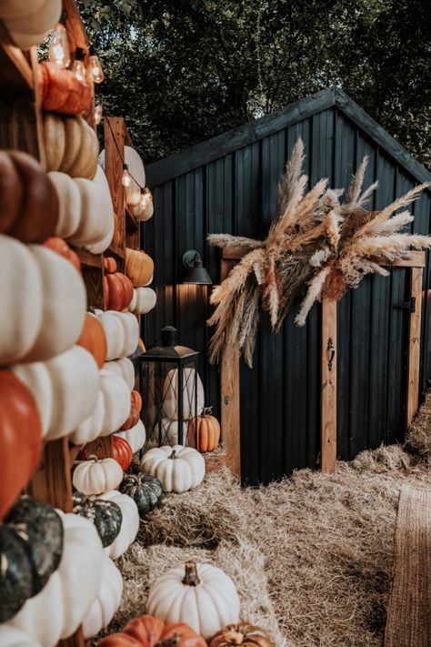 Last year we built our "Great Wall of Fall" mini session with a faux barn, fake pumpkins, and a lot of families! Everything that we bought for this set, including the couch, is linked with our commissionable link. 

We were able to see over 60 families within a couple of weekends. We have such a passion of teaching other photographers how to build a successful business with seasonal mini's. We teach everything on our Patreon account too! Comment below for a direct link. Fall Photoshoot Setup Ideas, Fall Mini Shoot, Fall Photo Props, Fall Backdrops, Mini Photo Sessions, Fall Mums, Fake Pumpkins, Photography Mini Sessions, Fall Mini Sessions