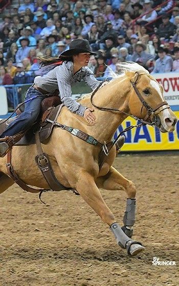 Hailey Kinsel, Barrel Racing Photos, Barrel Racing Tack Rodeo, Barrel Racing Saddles, Barrel Racing Tack, Cute Horse Pictures, Barrel Racing Horses, Rodeo Horses, Barrel Horse