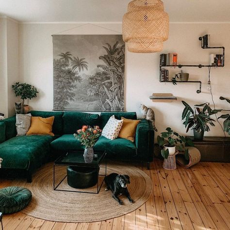 The Sill on Instagram: “There's something about green plants and a green couch in the same place that just feels right. 🌱 Living room goals via @jule.popule” Green Sofa Living, Green Couch Living Room, Green Sofa Living Room, Green Couch, Living Room Goals, Green Sofa, Living Room Green, Apartment Inspiration, Living Room Decor Apartment