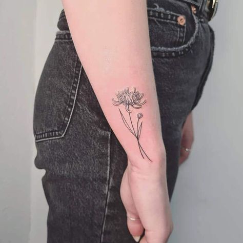 Minimal Crysanthemum Tattoo, Chrysanthemum Tattoo With Name In Stem, One Line Chrysanthemum, Chrysanthemum Tattoo Linework, White Chrysanthemum Tattoo, Chrysanthemum And Morning Glory Tattoo, Black And White Chrysanthemum Tattoo, Christhamum Tattoo, Simple Chrysanthemum Tattoo Outline