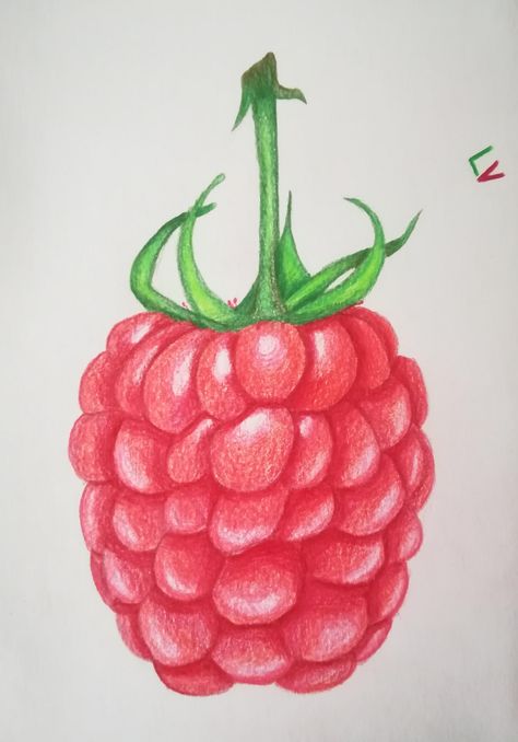 Raspberry Drawing, Adventure Time Princesses, Princess Vibes, Gcse Art Sketchbook, Time Princess, Pencil Drawings Easy, Raspberry Color, Gcse Art, Blue Raspberry