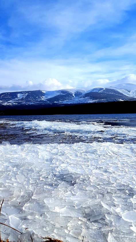 Icy landscape of Loch Morlich in Aviemore, Scotland. Loch Morlich, Aviemore Scotland, Icy Landscape, Island Of Skye, Beautiful Scotland, Castles To Visit, Scotland Highlands, Scotland Uk, England And Scotland