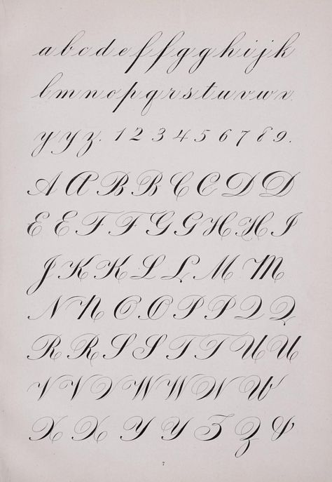 The Zanerian manual of alphabets and engrossing; an instructor in round hand, lettering, engrossing, designing, pen and brush art, etc : Zaner, C. P. (Charles Paxton) : Free Download, Borrow, and Streaming : Internet Archive Letters Styles, Modern Calligraphy Alphabet, Amazing Handwriting, Best Free Script Fonts, Calligraphy Writing Styles, Hand Lettering Alphabet Fonts, Calligraphy Fonts Alphabet, Notes Making, Brush Art