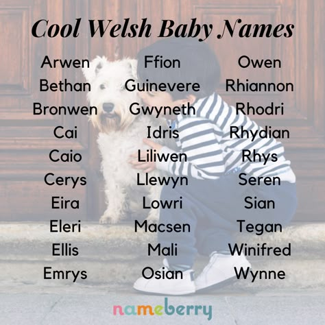 There's more to Welsh names than Dylan and Megan. These are some of the coolest baby names from Wales — click through for more! #babynames #welshnames #wales #internationalnames Old Fashioned Names, Millipedes, Welsh Names, St David, Welsh Baby Names, Rare Names, Fantasy Character Names, Welsh Language, National Festival