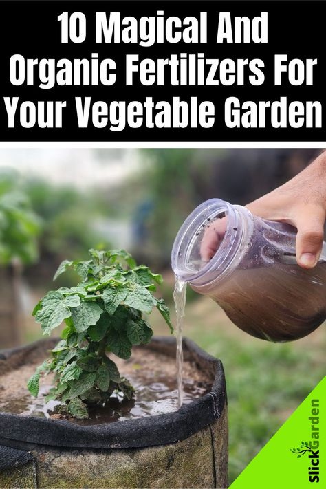 "Get ready to witness the magic in your vegetable garden with these 10 organic fertilizers - nature's best-kept secret! 🌱✨" Natural Garden Fertilizer, Organic Fertilizer For Vegetables, Vegetable Garden Fertilizer, Organic Plant Fertilizer, Natural Plant Fertilizer, Diy Fertilizer, Organic Fertilizers, Grafting Plants, Edible Gardening