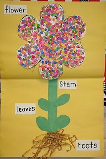 spring and plants unit Preschool Spring, Spring Kindergarten, Plants Unit, Spring Classroom, Spring School, Preschool Projects, Spring Preschool, Parts Of A Flower, Preschool Science