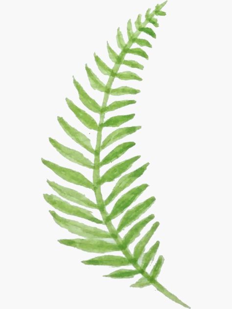 "Watercolor Fern 6" Sticker by redsforestforge | Redbubble Fern Painting Acrylic Simple, Fern Doodle, Ferns Drawing, Fern Border, Christmas Wine Bottle Crafts, Christmas Wine Bottle Crafts Diy, Fern Drawing, Wine Bottle Crafts Diy, Fern Painting