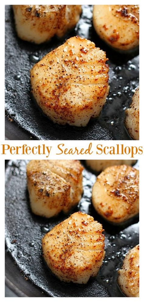 Seared Scallops Recipe, Scallop Recipes Healthy, Scallops Recipe, How To Cook Scallops, Baker By Nature, Cooking Fish, Shell Fish, Seared Scallops, Scallop Recipes