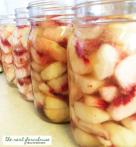 Canning White Peaches, Peach Stuff, Can Peaches Recipes, How To Can Peaches, Fresh Produce Recipes, Creative Canning, Peach Preserves Recipe, Freezing Peaches, Can Peaches