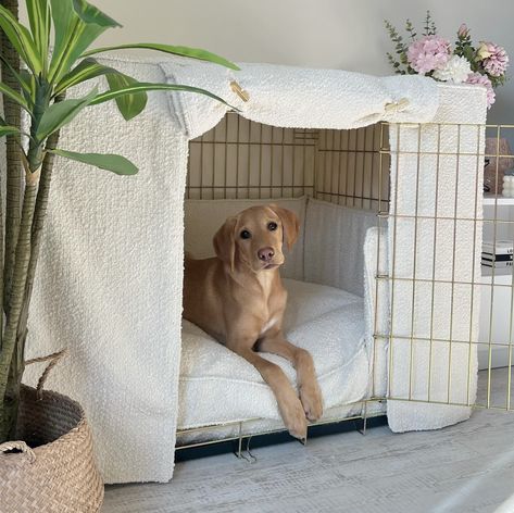 Cozy and Chic 😻   #📸 @moosethegoldenlab_   🔗 Dog Cage Set In Ivory Bouclé By Lords & Labradors Dog Hallway Ideas, Dog In Apartment Aesthetic, Aesthetic Dog Cage, Aesthetic Dog Set Up, Cozy Dog Crate, Aesthetic Dog Crate Ideas, Dog Room Set Up, Dog Room Aesthetic, Dog Cage Aesthetic