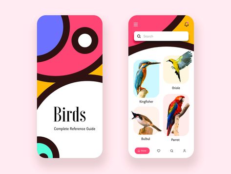 Birds Reference, Disruptive Design, Raw Design, Bird App, Programming Apps, Mobile Application Design, Mobile App Design Inspiration, Kingfisher Bird, Mobile Ui Design