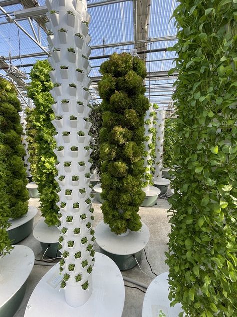 Aeroponic Tower, Aeroponic Gardening, Grow Tower, Indoor Hydroponic Gardening, Plant Tower, Hydroponic Gardening System, Garden Tower, Aquaponics Greenhouse, Vertical Vegetable Gardens