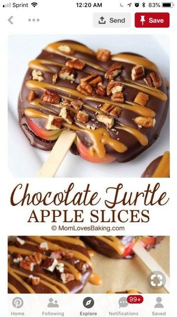 Turtle Apple Slices, Candied Apples Slices, Chocolate Covered Apples Slices, Turtle Candies, Caramel Apple Bites, Caramel Apple Slices, Chocolate Turtle, Chocolate Caramel Apples, Chocolate Covered Apples