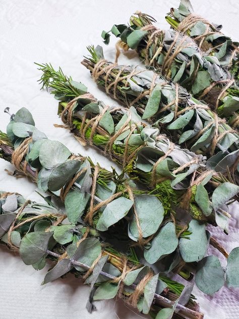 Sage Uses, Smudging Crystals, Rosemary Sage, Sage Smudge, Herbal Apothecary, Eucalyptus Mint, Herbal Magic, Spray Roses, Green Witch