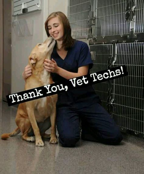 National Vet Tech Week!...Third week in October. It's ok to not always get recognized, just sometimes would be nice :) Vet Surgery, Vet Tech Humor, Veterinarian Technician, Veterinary Surgery, Vet Tech Week, Vet Assistant, Dog Crates, Tech Week, Tech Humor