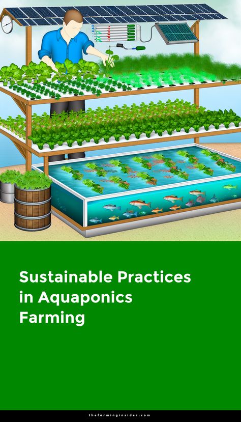 Introduction to Aquaponics and its Importance in Sustainable Agriculture



Defining Aquaponics



Aquaponics combines aquaculture and hydroponics in a sustainable system.



This technique involves cultivating fish and plants together in a synergistic environment.



Essentially, fish waste provides organic nutrients for the plants.



In turn, plants purify the water for the fish, creating a closed-loop system.



The Role of Aquaponics in Sustainability



Aquaponics optimizes water usage compared to traditional farming methods.



This method uses up to 90% less water than conventional agriculture.



Additionally, aquaponics eliminates the need for synthetic fertilizers.



Such practices reduce chemical runoff into local waterways.



Benefits to Food Security



Aquaponics . . . Aquaculture Fish Farming, Aqua Ponics, Best Fish For Aquaponics, Aquaculture Aquaponics, Aquaculture Fish, Aquaponics Greenhouse, Backyard Aquaponics, Aquaponics Fish, Farming Life