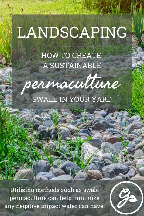 Swale Landscaping Ideas, Swale Landscaping, Garden Potager, Rural Garden, Dry River, Types Of Grass, Water Movement, River Bed, Moving Water