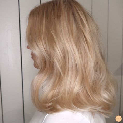 Champagne Blonde Hair, Highlight Ideas, Light Blonde Hair, Honey Blonde Hair, Blonde Hair Looks, Winged Liner, Long Blonde, Stardew Valley, Long Blonde Hair