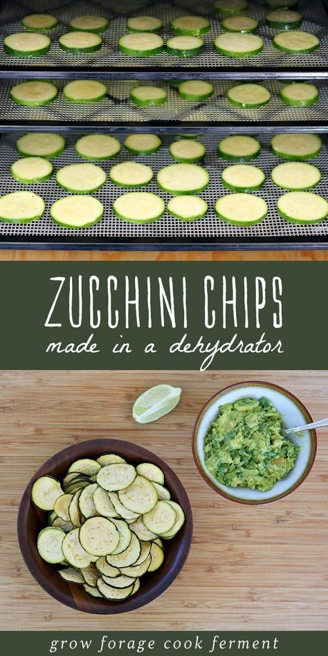 Vegetable Chips, Dehydrated Vegetables, Zucchini Chips, Dehydrated Fruit, Dehydrated Food, Dehydrator Recipes, Harvest Season, The Harvest, Zucchini Recipes