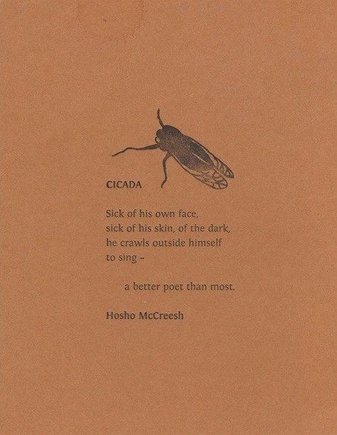 Poem: sick of his own face, sick of his skin, of the dark, he crawls outside himself to sing -Hosho McCreesh Cicada Tattoo, Poster Grafico, A Bug, Naha, Poem Quotes, Poetry Quotes, Pretty Words, Pretty Quotes, The Words