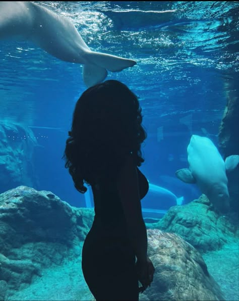 Black girl ariel little mermaid aesthetic aquarium instagram Amara Aesthetic, Aesthetic Aquarium, Playing Mermaids, Little Mermaid Aesthetic, Ariel Aesthetic, Jj Maybank Outer Banks, Aquarium Pictures, Black Siren, Tropical Lifestyle