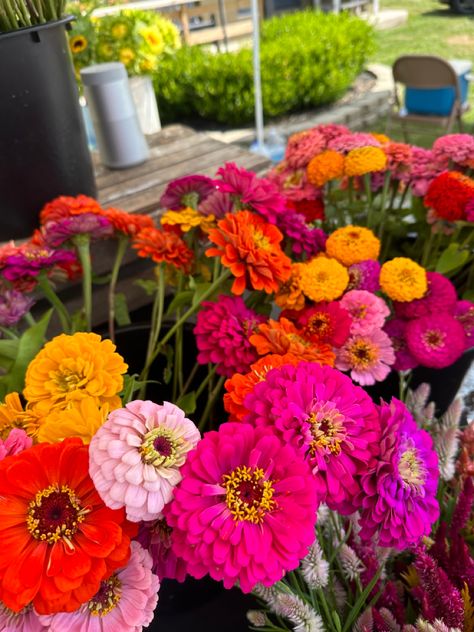 Flower stand full of zinnia flowers Zinnia Flower Aesthetic, Julia Aesthetic, Zinnia Bouquet, Zinnia Garden, Flower Growing, Cut Flower Farm, Zinnia Flowers, Flower Business, Flower Farmer