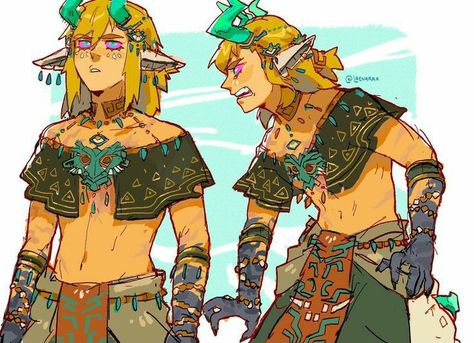 Link Totk, Dragon Link, Botw Zelda, Legend Of Zelda Memes, Zelda Funny, Link Art, Link Zelda, Zelda Art, Legend Of Zelda Breath