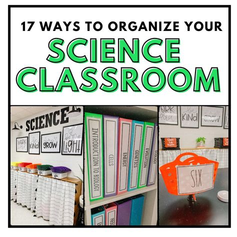 17 Ways to Organize Your Science Classroom ⋆ The Trendy Science Teacher Science Classroom Ideas Elementary, 7th Grade Science Classroom Decorations, Science Classroom Decorations Highschool, Middle School Science Classroom Decor, High School Biology Classroom, Life Science Classroom, High School Science Classroom, Elementary Science Classroom, Middle School Science Classroom