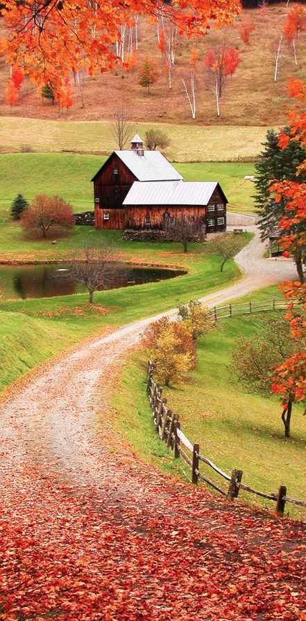 Sleepy Hollow Farm in Woodstock, Vermont • photo: via Muhammad Jahangee on Flickr #nature Woodstock Vermont, Farm Scene, A Barn, Old Barns, Autumn Beauty, Aerosmith, Green Gables, Country Road, On The Ground