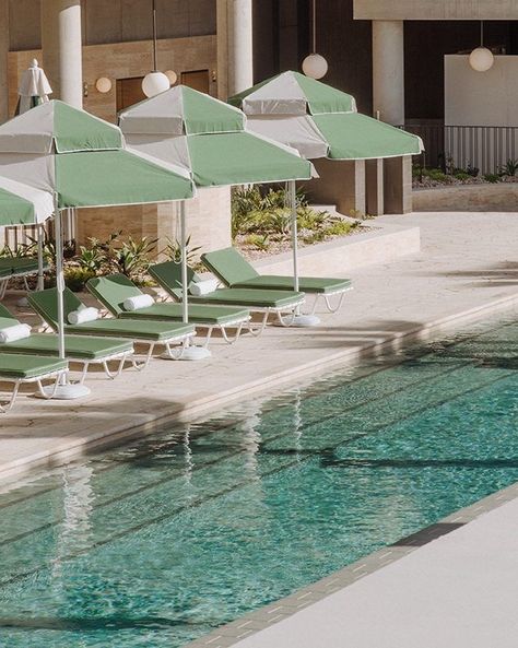 Mid Century Pool, Calile Hotel, Palm Springs Pool, Palm Springs Decor, Mises En Page Design Graphique, Pool Umbrellas, Pool Lounger, Sun Lounge, Spring Outdoor