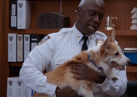 Cheddar The Dog, Raymond Holt, Danny Pudi, In N Out, Pink Books, Brooklyn Nine Nine, Fictional World, California Beach, Dog Pin