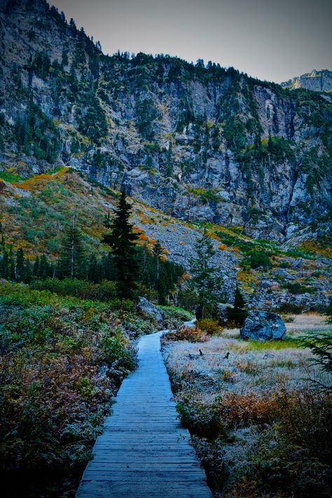 Heather Lake: A hike near Seattle • Pacific Northwest Fulfilled Heather Lake Washington, Pacific Northwest Winter, Pacific Northwest Hiking, Seattle Hiking, Pnw Camping, Strange Trails, Pacific Northwest Trail, Pnw Trip, Seattle Winter