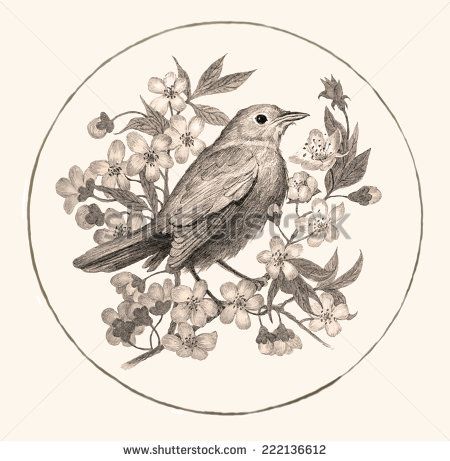 Nightingale Stock Photos, Images, & Pictures | Shutterstock Nightingale Tattoo, Century City, Flower Bird, Nightingale, Bird Photo, Tattoo Design Drawings, Peony Flower, First Tattoo, Pretty Tattoos