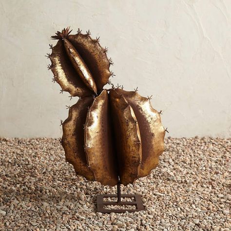 Metal Cactus, Cactus Garden Outdoor, Farmhouse Patio, Boho Patio, Indoor Patio, Yard Design, Indoor Patio Furniture, Cactus Garden, Cactus Flower