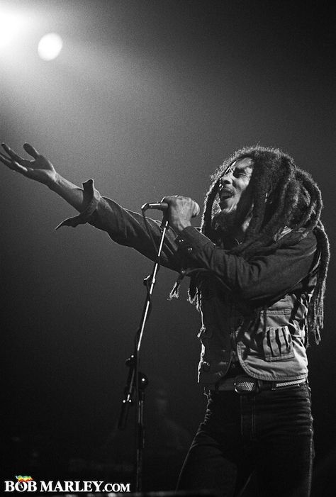 Music for the soul Bob Marley One Love, Reggae Music, One Love, Bob Marley, Group Chat, Dreadlocks, Black And White, Music, Black