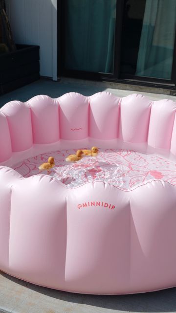 Kiddie Pool Aesthetic, Pool For Ducks, Duck Bathtub, Duck Swimming Pool, Aesthetic Kiddie Pool, Duck Pool, Cute Ducks In Water, Preppy Ideas, Pet Ducks