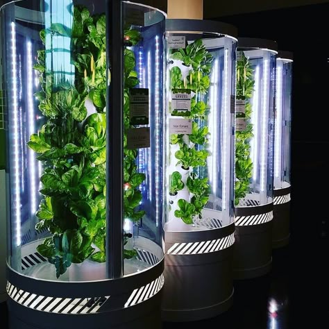 Cooler temperatures of fall and winter may be on the way. But with indoor gardening, you can keep growing fresh food, regardless of the weather outside. Smart Farm, Indoor Farming, Vertical Farming, Urban Farm, Tower Garden, Hydroponic Gardening, Urban Farming, Growing Food, Permaculture