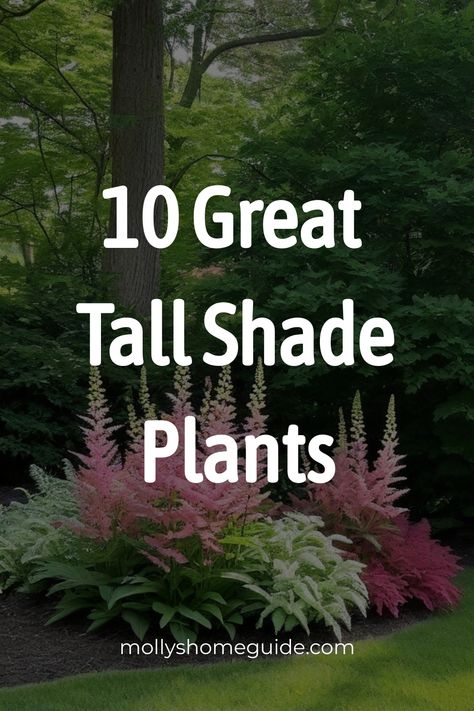 Discover the top picks for tall shade plants, including beautiful ornamental grasses perfect for shaded areas. Explore a variety of shade-loving perennial flowers and tall privacy plants to create a stunning garden oasis. From graceful ornamental grasses to low-maintenance options, find the best perennials that thrive in the shade. Enhance your landscaping with flowering plants that bloom in shady spots, ideal for adding color and interest to your outdoor space. Narrow Shade Garden Ideas, Semi Shade Plants Perennials, Shade Loving Grasses, Front Yard Landscaping Shaded Area, Woodland Shade Garden Ideas, Potted Plants Landscaping Ideas, Shade Rock Garden Ideas, Creating Shade In The Garden, Best Shade Plants Perennials