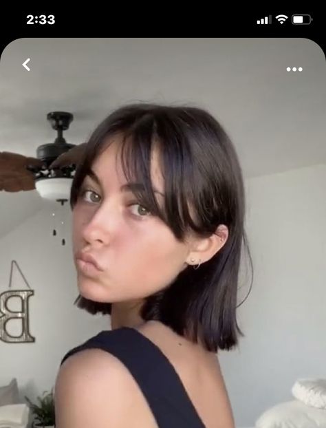 Brown Bob Fringe, Short Hair Ideas For Square Face, Brown Bob Curtain Bangs, Short French Bob With Curtain Bangs, Dark Brown Bob With Curtain Bangs, Straight Across Bangs Short Hair, Short Hairstyles For Square Faces Women, Bob With Curtain Bangs Straight Hair, French Bob With Bangs Oval Face