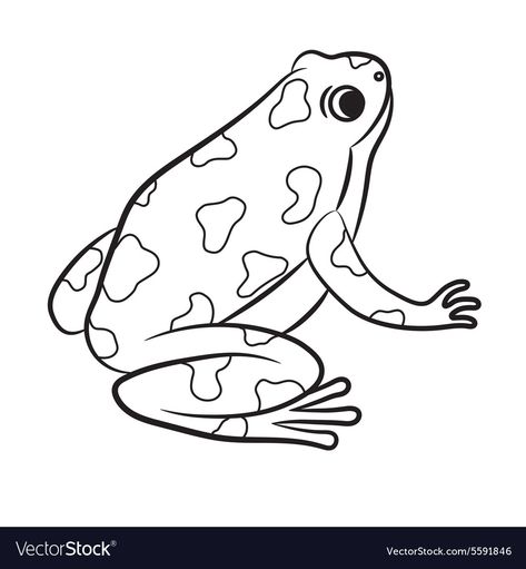 Frog Outline, Frog Template, Frog Coloring, Frog Coloring Pages, Animal Templates, Frog Crafts, Frog Pictures, Afrique Art, Frog Drawing