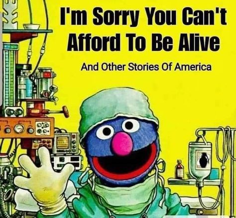 and other stories of america Book Parody, Childrens Book Cover, Sesame Street Books, Bizarre Books, Child Life Specialist, Sesame Street Muppets, Fresh Memes, Up Book, Jim Henson