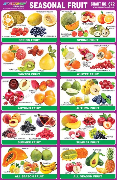 Fruit Season Chart, Seasons Chart, Vegetable Chart, List Of Vegetables, Winter Fruit, Fruits Images, Food Charts, Vegetable Seasoning, In Season Produce