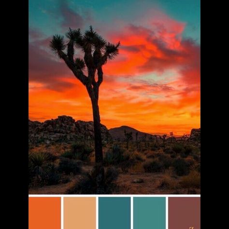 Desert Sunset Color Palette, Western Color Palette, Desert Color Palette, Southwestern Colors, Sunset Color Palette, Southwest Colors, Crochet Chevron, Sunset Color, Desert Colors