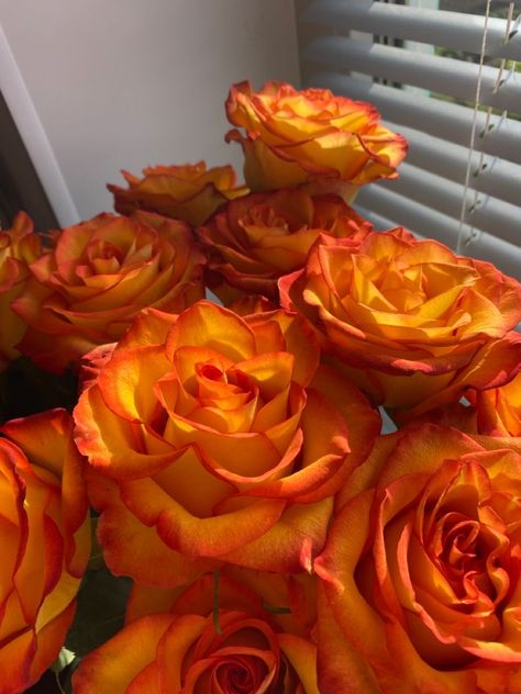 Orange Roses Bouquet Aesthetic, Orange Roses Aesthetic, Orange Flowers Aesthetic, Orange Rose Bouquet, Fleur Orange, Boquette Flowers, Nothing But Flowers, Flower Therapy, Beautiful Bouquet Of Flowers