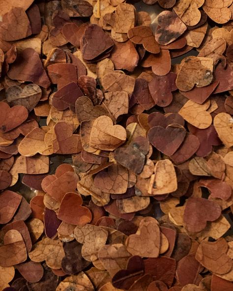 Biodegradable confetti stamped from dead leaves, nothing wasted. Fall Leaf Confetti, Fall Wedding Confetti, Biodegradable Confetti Wedding, Leaf Confetti Wedding Leaves, Fall Wedding Leaves, Leaves Confetti, Palette Aesthetic, Spooky Wedding, Orange Confetti