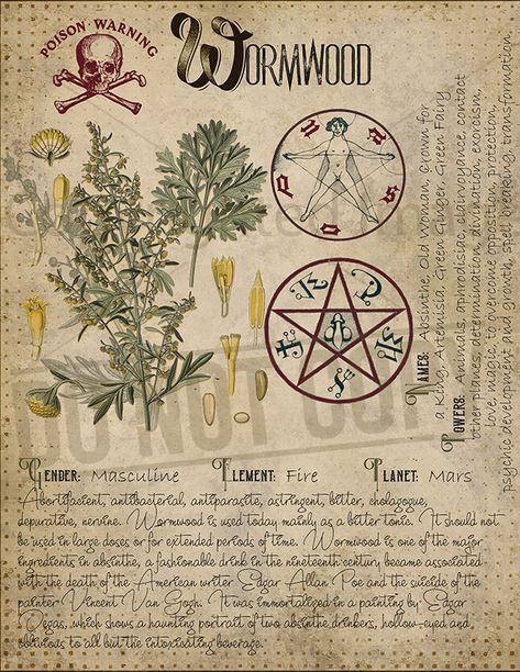 Great site for printables. Witches Book Of Shadows, Herbal Grimoire, Plant Knowledge, Altar Witchcraft, Witches Book, Shaman Ritual, Spell Bottles, Antique Background, Witchcraft Altar