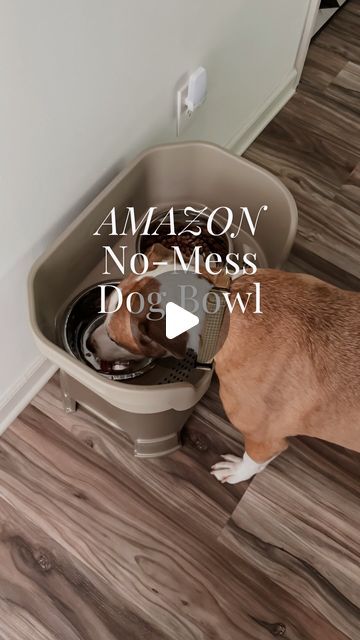 Lela | Organized-ish on Instagram: "I saw this feeder at a friend’s house and **immediately** had to be a copycat. No more wet socks for me, and Winston seems to like having his bowls raised up too. 🙌🏼  #amazonpets #amazonhome #amazonfinds #organizedhome #cleaninghacks" Hide Dog Bowls, Dog Water Bowl Ideas, Wet Socks, Dog Water Bowl, Dog Water Bowls, Wet Floor, Water Bowl, Amazon Home, Dog Bowls